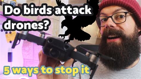 drones  attacked  birds  insiders tricks  stop  youtube