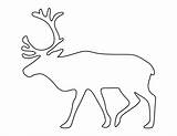 Reindeer Pattern Template Patterns Printable Cut Templates Christmas Stencils Outline Stencil Patternuniverse Pdf Crafts Animal Arctic Use Applique Outlines Animals sketch template