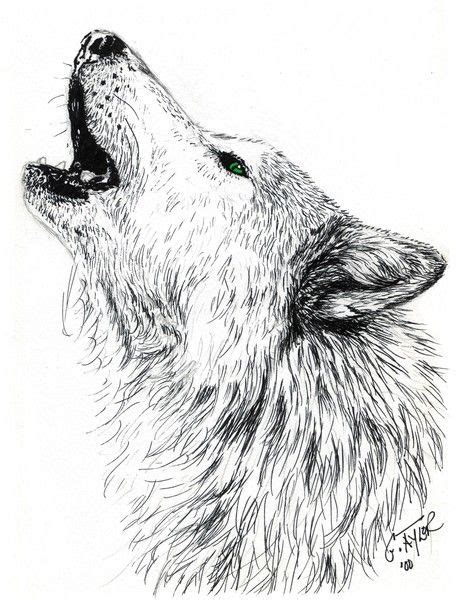 Wolf Howling At The Moon Drawing In Pencil At Getdrawings