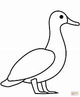 Duck Coloring Ducks Pages Printable Paper Puzzle Categories Supercoloring sketch template
