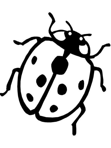 lady bug coloring page