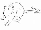 Rat Coloring Pages Printable Kids Bestcoloringpagesforkids Coloringbay sketch template