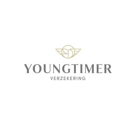 youngtimer verzekering private insurance vlc partners