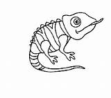 Chameleon Coloring Pages Pascal Tangled Disney Drawing Template Cameleon Standing Getdrawings Color Designlooter Branch Tree 535px 48kb Place Paintingvalley sketch template