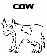 Coloring Cow Pages Printable Head Print Sheets Getcolorings Survival Color Cows Popular Library Clipart sketch template