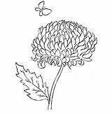 Coloring Chrysanthemum Pages Henkes Kevin Butterfly Print Getdrawings Getcolorings Utilising Button sketch template