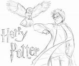 Hedwig Harry sketch template