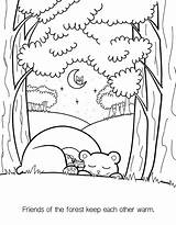 Coloring Forest Pages Kids Tree Colouring Heather Cash Pete Cat Friendship Book Jungle Library Clipart Friends Erie Comments Cartoon sketch template