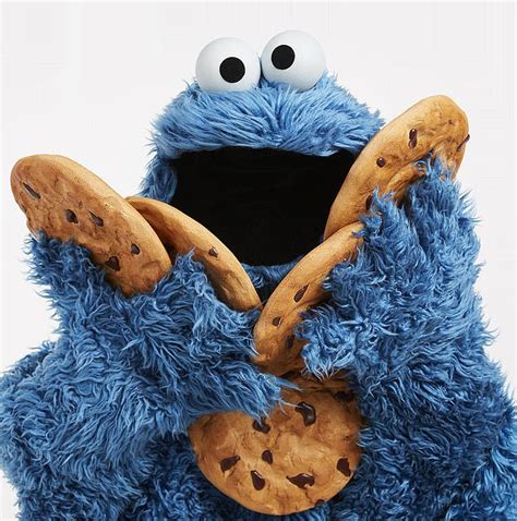 cookie monsters real   sesame street magazine