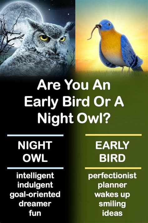 Night Owl Or Lark Personality Traits Predict Sleep Patterns