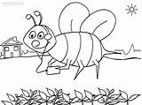 Hummel Bumble Ausmalbild Bees Colouring Cool2bkids Coloringpagesfortoddlers sketch template