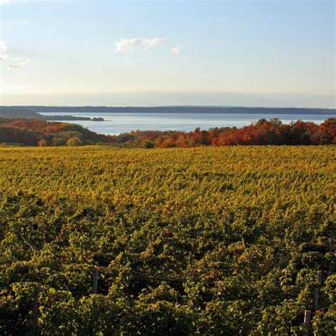 Tour Michigans Wine Country In 4 Days Adventure Travel Traverse