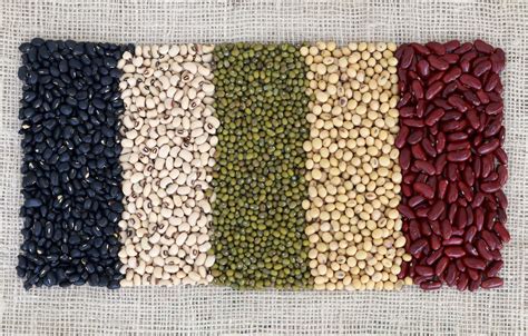 wallpaper colors beans variety images  desktop section tekstury