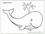 Whale Coloring Pages Printable Colouring Whales Jeffy Kids Template Color Animal Jonah Templates Sea Crafts Sperm Activities Drawing Ocean Printables sketch template