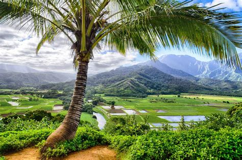 hanalei bay kauai real estate