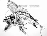 Fish Skeleton Angler Drawing Drawings Creatures Various Made Getdrawings Skeletons Visit sketch template