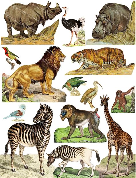 african safari animals printable set   jungle animals etsy