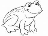 Coloring Frog Frogs Pages Happy Animals sketch template