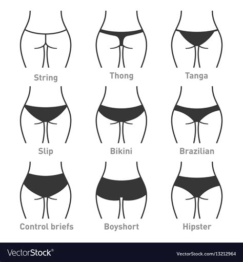 Woman Underwear Panties Types Royalty Free Vector Image
