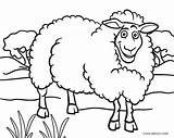 Sheep Coloring Face Pages Kids Printable Drawing Cool2bkids Getdrawings sketch template