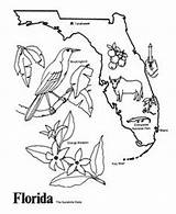 Florida Coloring Pages State Printable Maps Outline Map Unit Study Flag Tradition Demographics Interest Points Showing Culture History Kids Keys sketch template