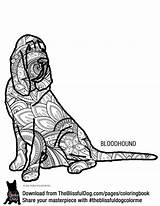 Bloodhound sketch template