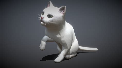 3drt White Cat Buy Royalty Free 3d Model By [d08de8d