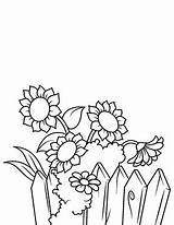 Sonnenblumen Ausmalbilder Zaun Kostenlose Ausmalen Sonnenblume Farbe Colouring sketch template