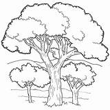 Janbrett Ark Click Subscription Downloads Trees sketch template