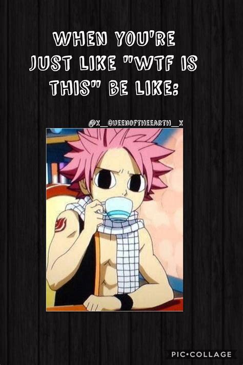 when u don t know wtf is going down fairy tail anime fairy tail meme fairy tail quotes
