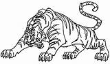 Tigre Tigres Cringer Colorare Coloriage Animaux Colorier Heman sketch template