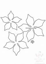 Poinsettia Paper sketch template