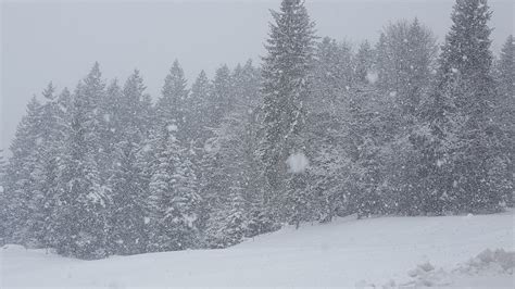 het sneeuwt  tirol salzburgerland fantastisch oostenrijk