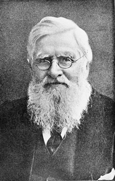 alfred russel wallace letters put   nod   discoverer