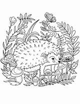 Hedgehog Coloring Pages Printable Color Cute Drawing Print Animals Template Supercoloring Forest Templates Categories Version Getcolorings Colorings Number sketch template