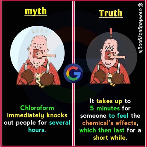 Pin On Myth Vs Truth