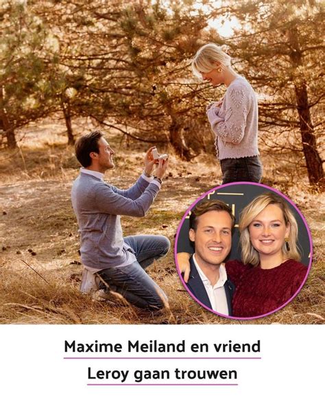 pin  chateau meiland