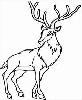 Chevreuil Antelope Mewarnai Caribou Rusa 2587 Animaux Venados Ciervo Coloringbay Animal Clipartmag Coloriages sketch template