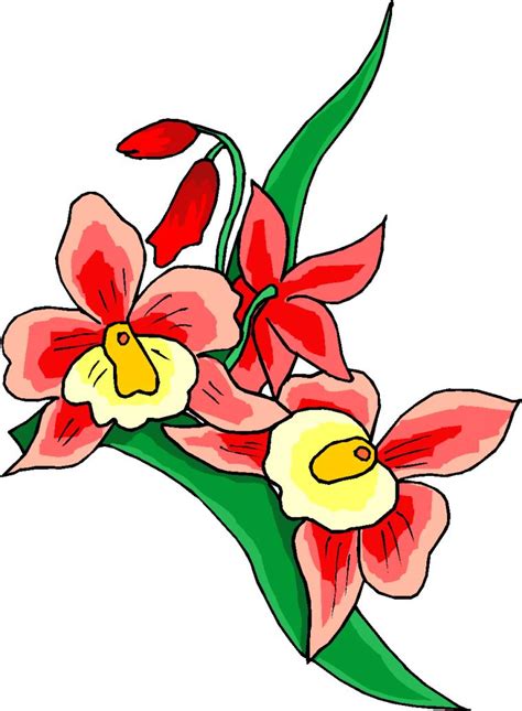 small flower clipart   small flower clipart png
