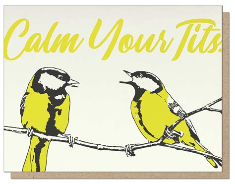 calm your tits everyday letterpress greeting card guttersnipe press