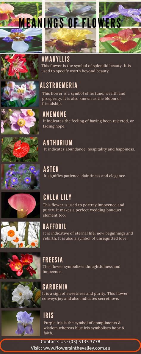 Meanings Of Flowers Flower Meanings Strange Flowers Amaryllis Flowers