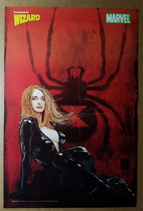 Black Widow Spider Man Marvel Comics Poster By Alex Maleev
