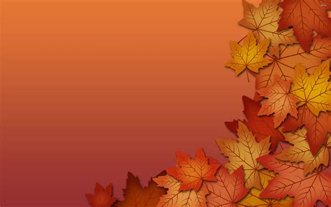 fall leaves wallpapers high resolution fall wallpaper autumn leaves wallpaper wallpaper