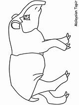 Tapir Coloring Pages Animals Porcupine Ocean 18kb Popular Advertisement sketch template