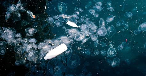 unsere ozeane versinken  plastikmuell