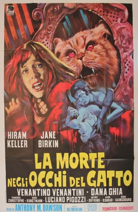 The Movie Sleuth Images A Collection Of Giallo