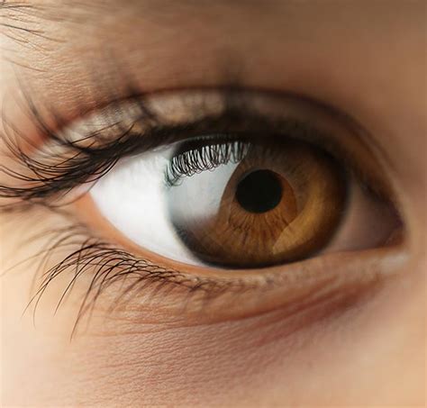 optiek nu  gouda opticien voor brillen contactlenzen