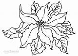 Poinsettia Coloring Pages Outline Drawing Print Printable Cool2bkids Drawings Sheet Kids Paintingvalley sketch template