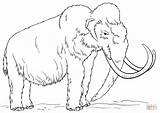 Mammoth Woolly Coloring Pages Draw Sheet Drawing Wooly Printable Clipart Mamoth Supercoloring Pencil Animal Kids Tutorials Step Clipground Dot Popular sketch template
