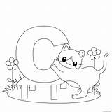 Letter Cat Animal Alphabet Printable Coloring Pages Print Kids Worksheets sketch template